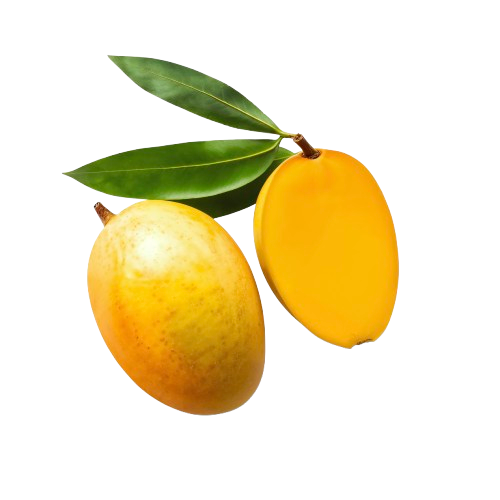 Indian  Alphonso Mangoes